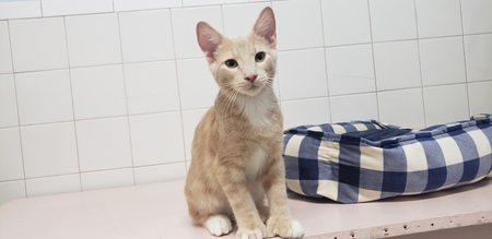 Entry image for Redbull. Clicking this image will show a larger photo