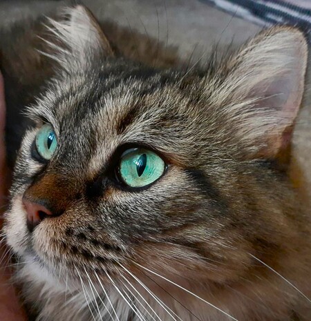Lily