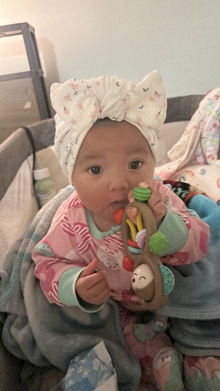 Ayla