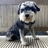 Entry image for Connor