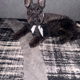 Entry image for Bruno Lopez 