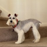 Entry image for Sunny