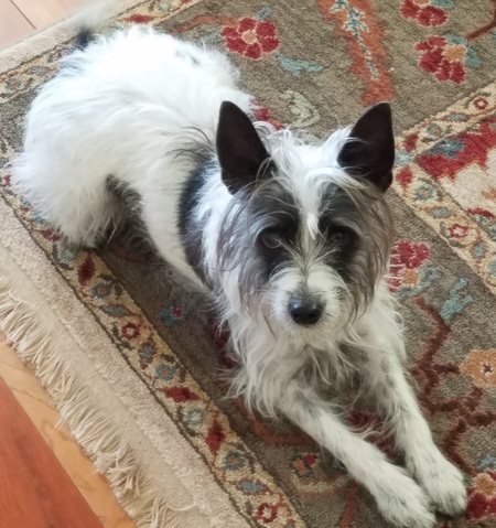 FrankieBob Williamson 