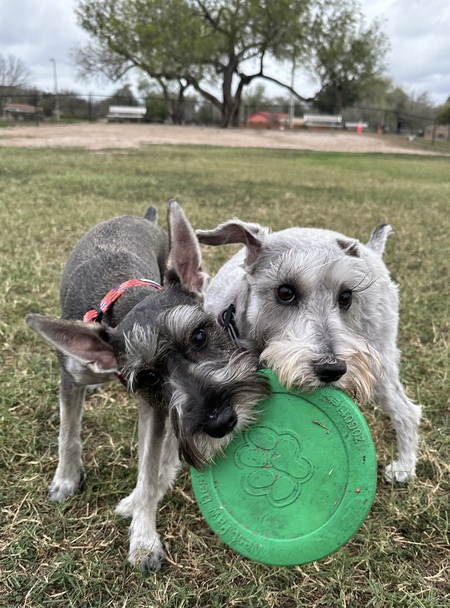 Kahlua & Malibu