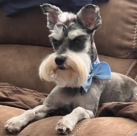 Desi "Dez"