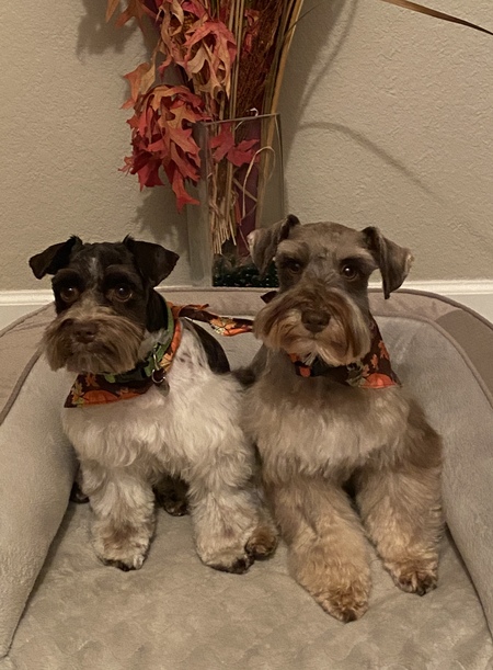 Pepper & Annie