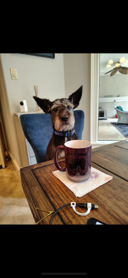 Entry image for Peach. Clicking this image will show a larger photo