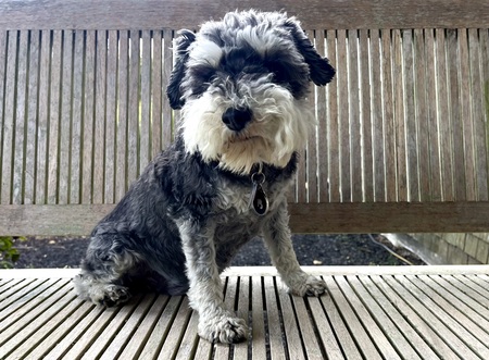 Entry image for Connor. Clicking this image will show a larger photo