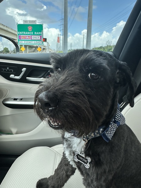 Entry image for Tyrone. Clicking this image will show a larger photo