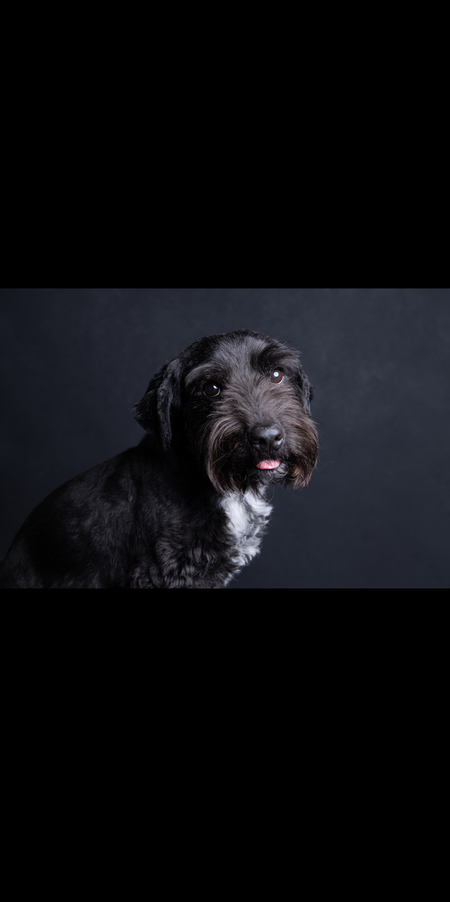 Entry image for Tyrone. Clicking this image will show a larger photo