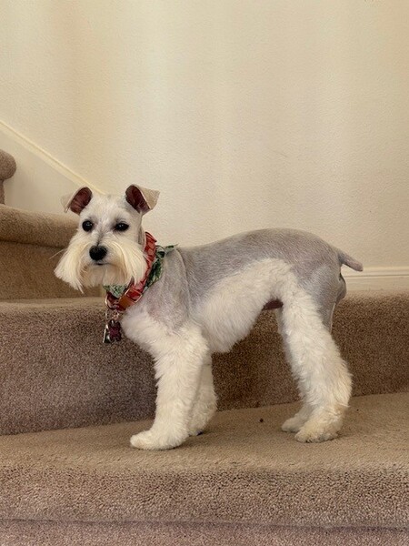 Entry image for Sunny. Clicking this image will show a larger photo