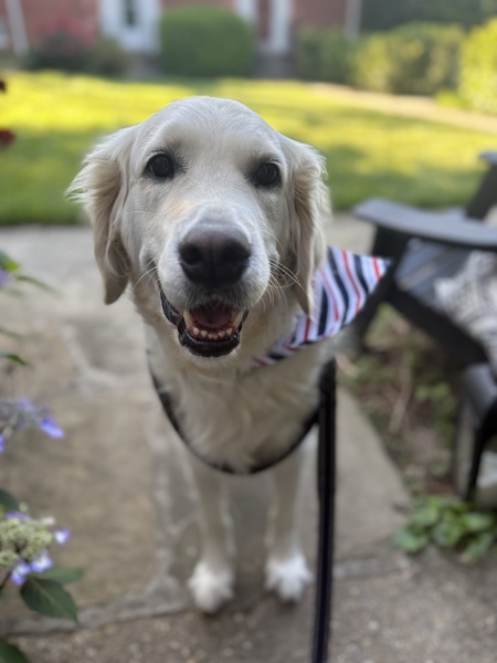 Rory