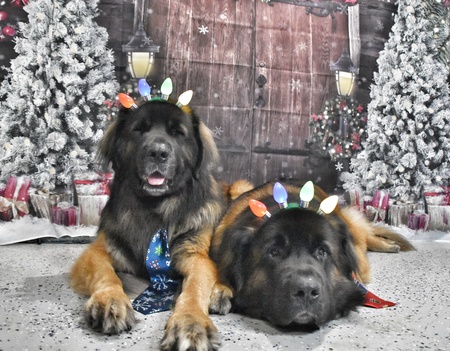 Rilian and Caspian