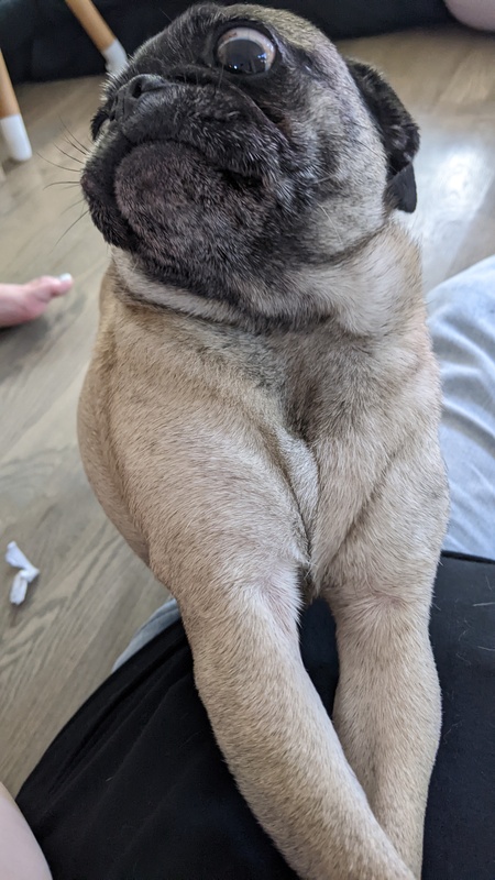 Meatball