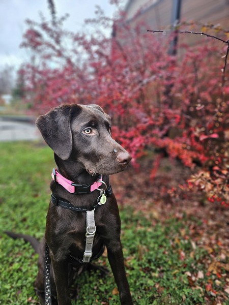 Jenna