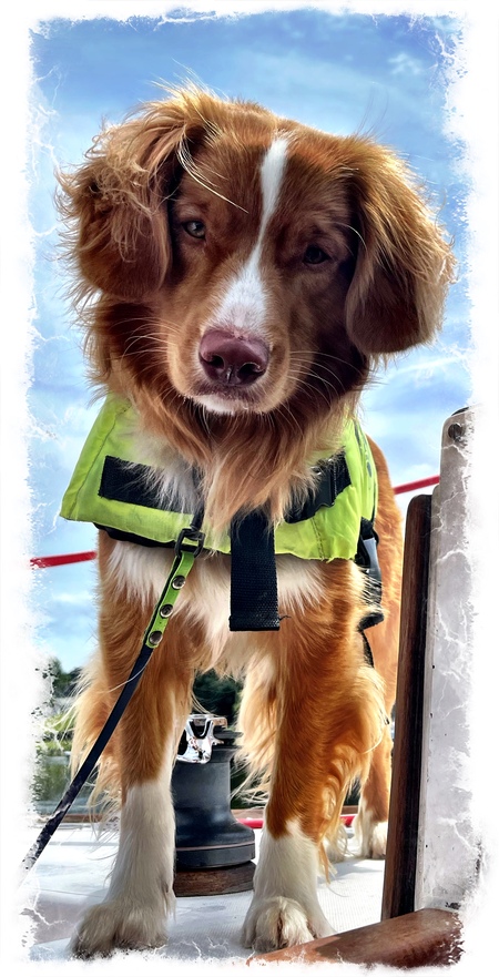 Finnigan MacMurphy