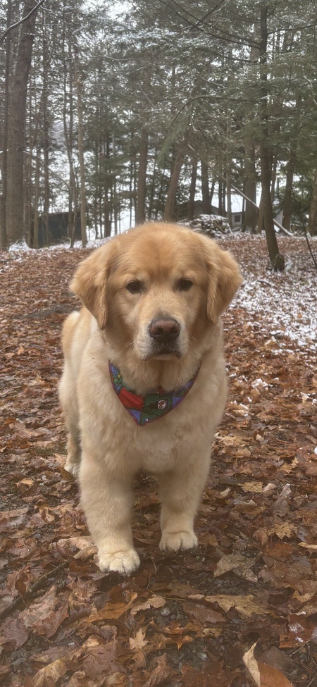 Hudson