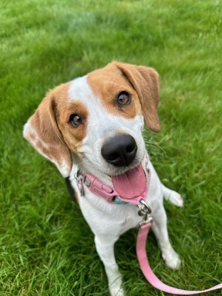 Ellie