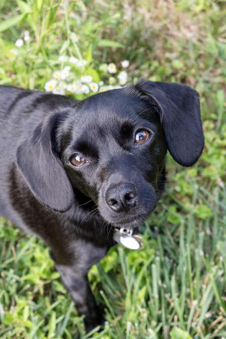 Maggie