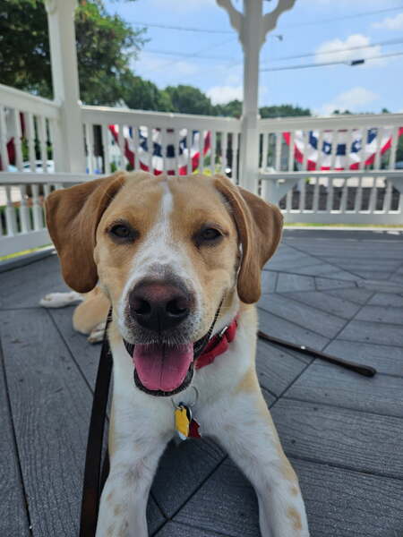 Tucker 