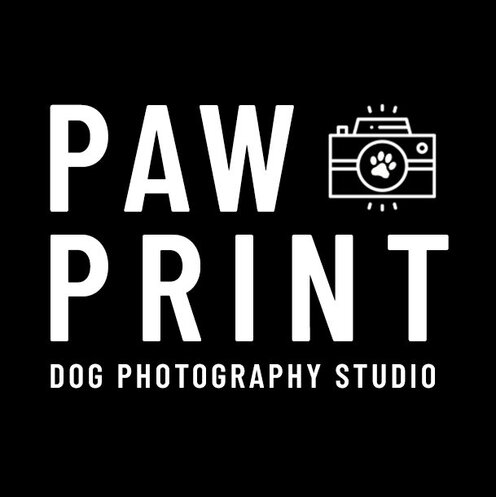 Paw Print Studio
