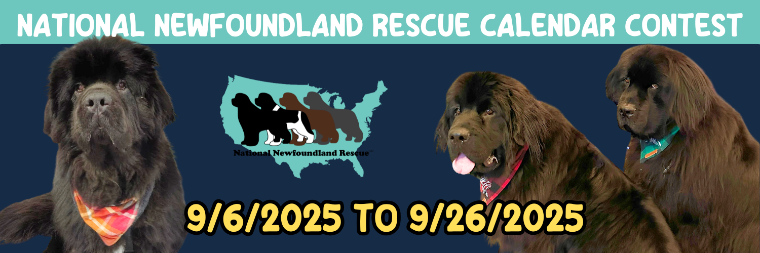 Banner for National Newfoundland Rescue 2026 Photo Fundraiser