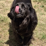 Entry image for Bella
