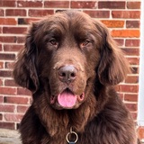 Entry image for Franklin