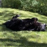 Entry image for Wilson