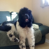 Entry image for Cassie