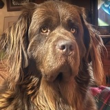 Entry image for Maggie