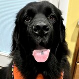Entry image for Spenser