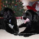 Entry image for Sam & Kelsey