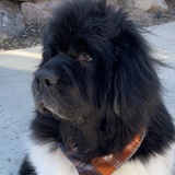 Entry image for Harbor