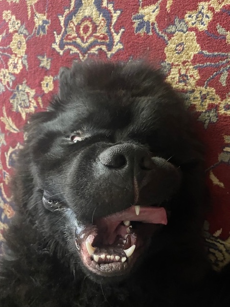 Entry image for Fabio. Clicking this image will show a larger photo