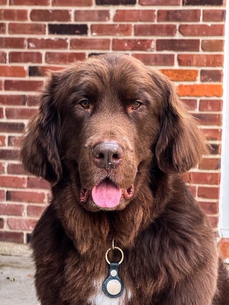 Entry image for Franklin. Clicking this image will show a larger photo