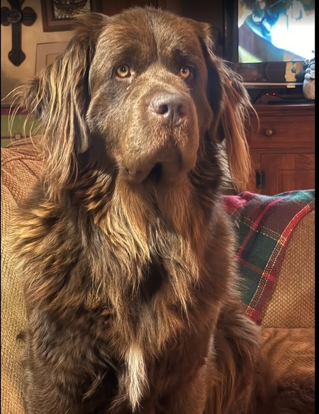 Entry image for Maggie. Clicking this image will show a larger photo