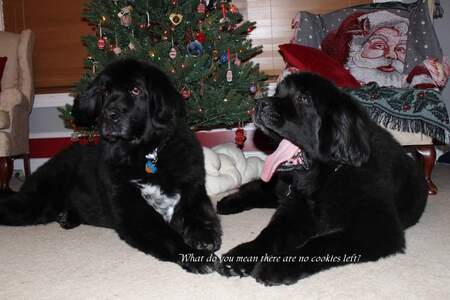 Entry image for Sam & Kelsey. Clicking this image will show a larger photo