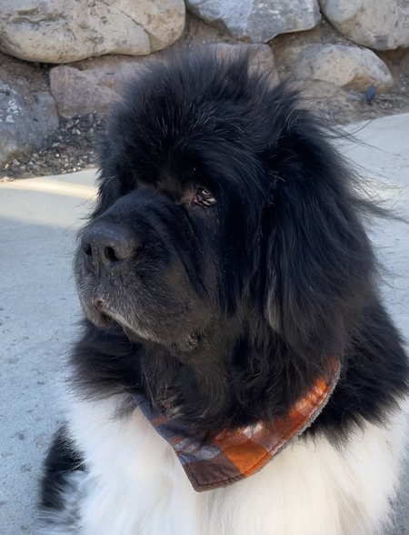 Entry image for Harbor. Clicking this image will show a larger photo