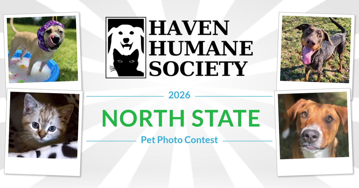 Haven Humane Society 2026 North State Pet Calendar Contest