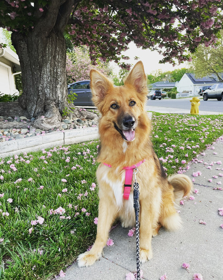 Ellie