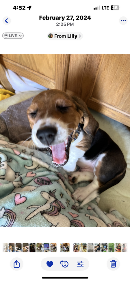 Baxter