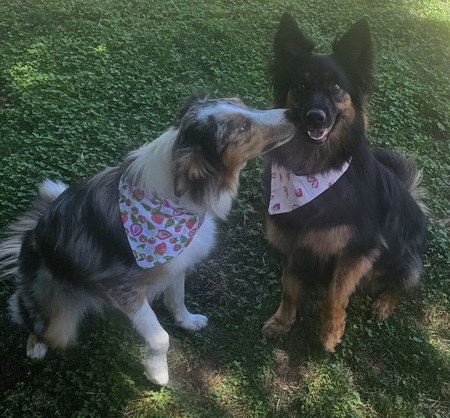 Arlo & Nova