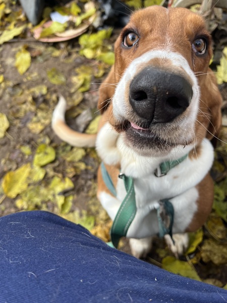 Baxter
