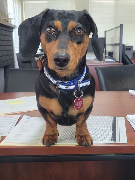 Murphy