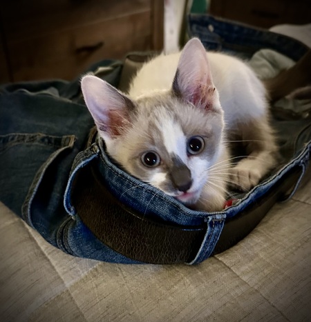 Tinker