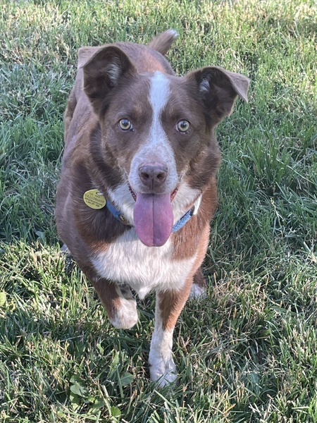Sadie
