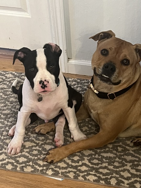 Kirby & Dyson