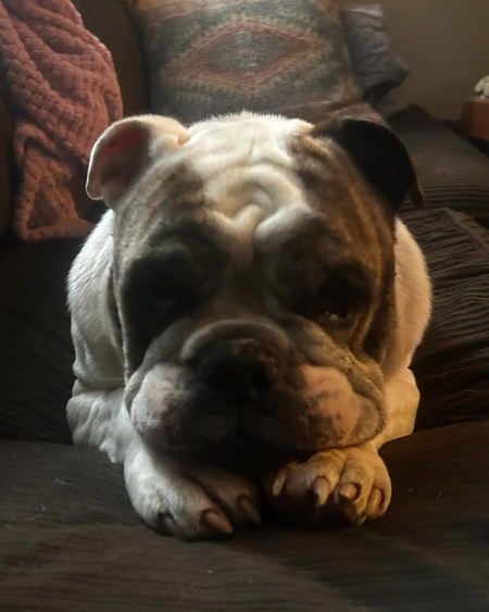 Hank. Aka big sexy
