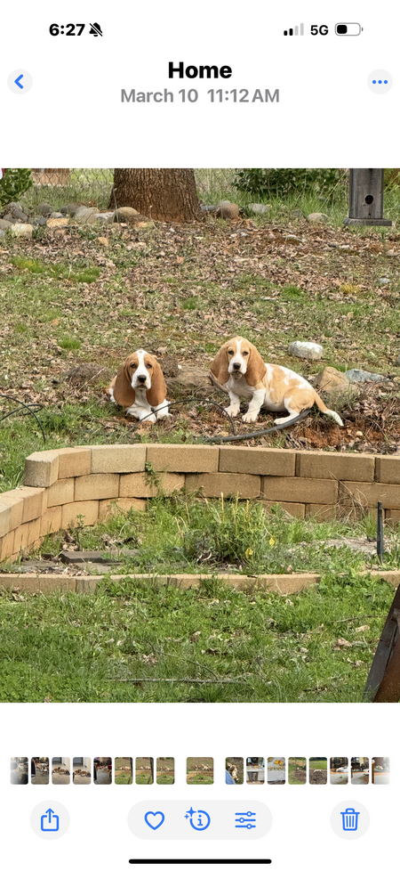 Zippi and Lexxi